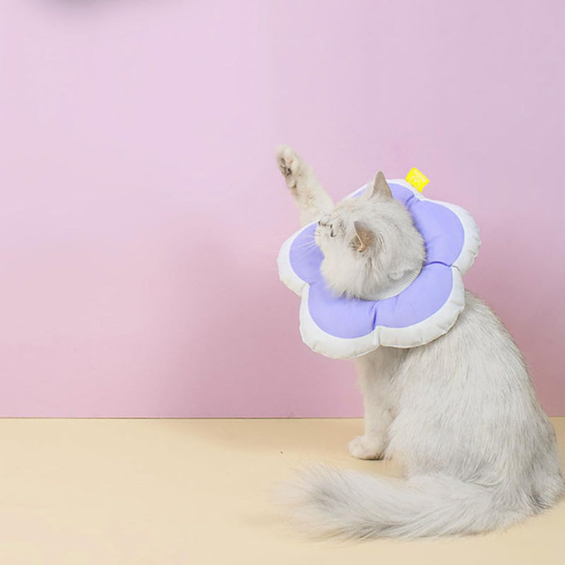 Protective collar for cats made of PP cotton, violet. Prevents licking and biting. Promotes wound healing. Simple design. 1 piece. As a cat accessory for the healing phase.
