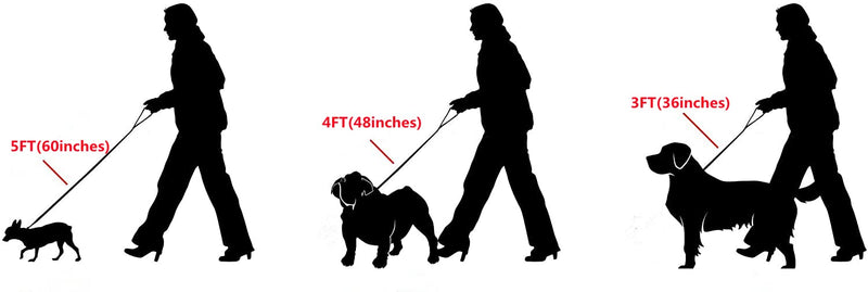 Strong Gold/Silver Dog Chain Leash 3FT 4FT 5FT Stainless Steel 12mm Curb Cuban Link Dog Leash Training Walking with Comfortable Genuine Leather Handle for Large, Medium Small Dogs (Gold, 3FT) 3FT (36inch) - PawsPlanet Australia
