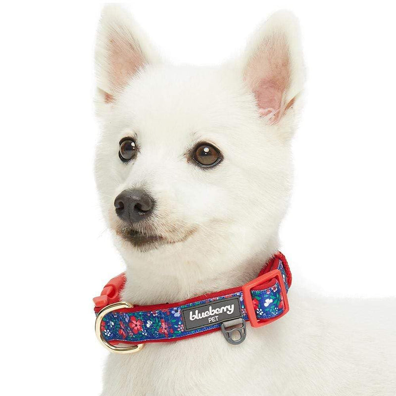 Blueberry Pet Soft & Comfy Pretty Posies Spring Garden Navy Padded Adjustable Dog Collar, Small, Neck 12"-16" - PawsPlanet Australia