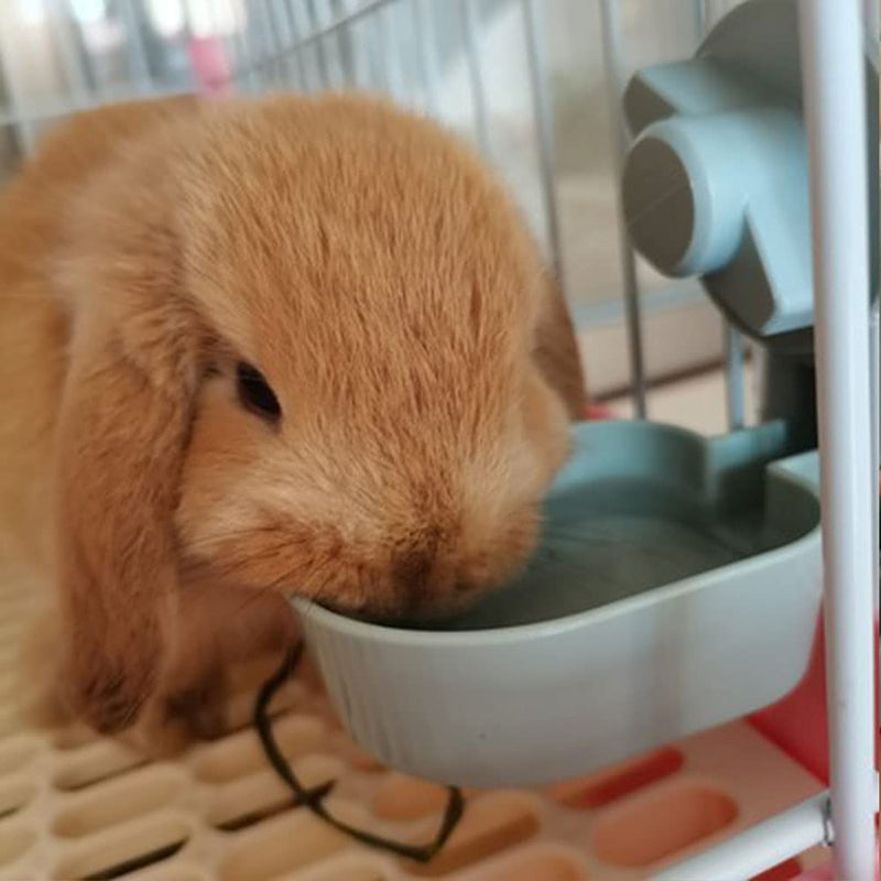 17oz Rabbit Water Bottle, Pet Cage Suspended Water Dispenser, Hanging Automatic Small Pet Water Bowl for Bunny Cat Ferret Purple