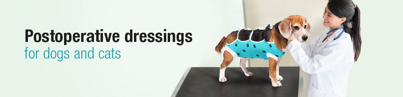 E-Collar Alternative for Cats and Dogs: After Surgey Wear. Recommended by Vets (XX-Large, Bottle Green) - PawsPlanet Australia
