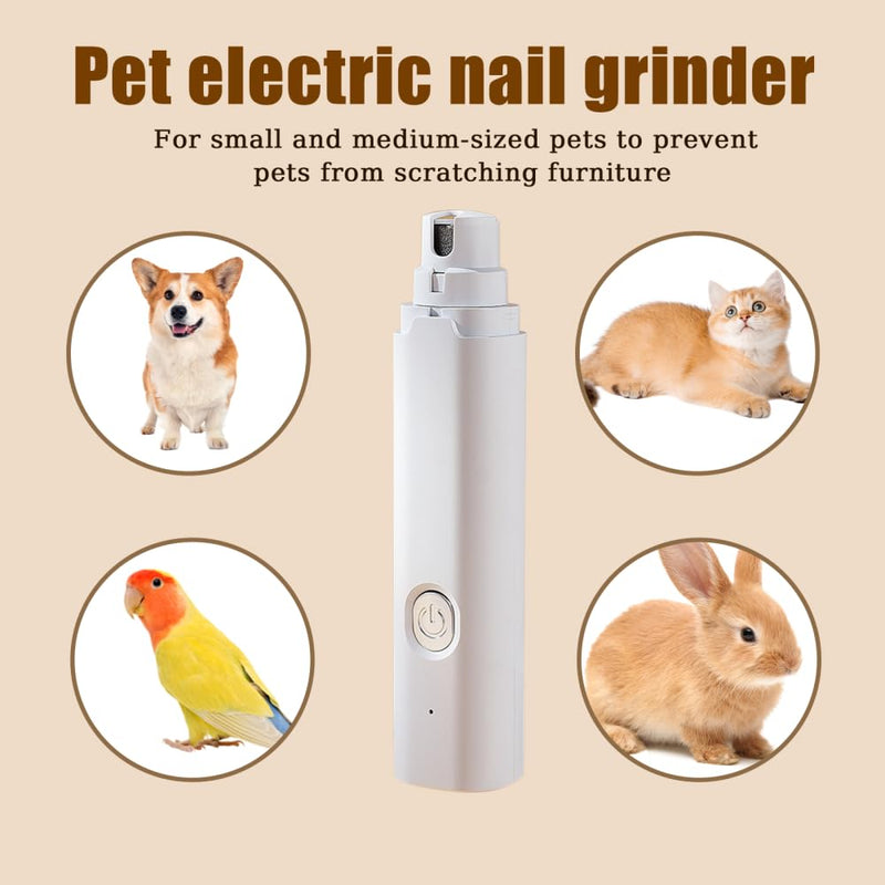 MiOYOOW Pet Beak Grinder, Quiet Bird Nail Trimmer Rechargeable Parrot Nail File with LED Lamp Grooming Tool for Budgerigars,Parakeets,Conure Black - PawsPlanet Australia