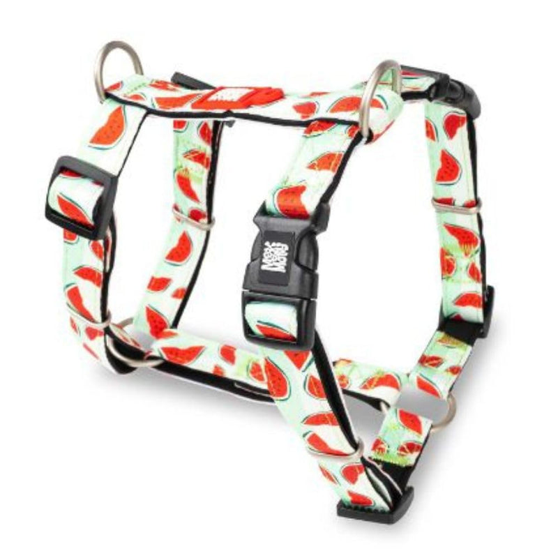 Max & Molly H Comfort Fit Dog Harness – Soft Neoprene Padding, Easy Step-In Design, Durable Metal Parts, Dual D-Rings for Enhanced Control – Perfect for Secure, Comfortable Walks Extra Small - PawsPlanet Australia