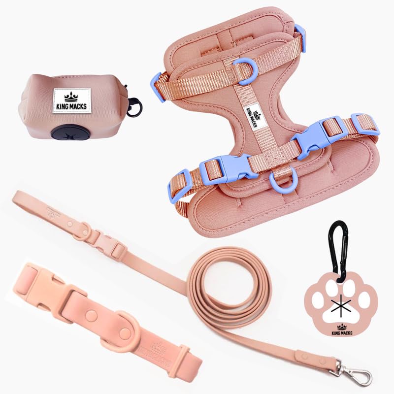 King Macks Dog Harness Set with Collar and Leash, Waste Bag Holder and Dirty Waste Bag Clip, Adjustable for Small/Medium/Large Dogs, Lightweight (Blue with Green, Large) Blue with Green - PawsPlanet Australia