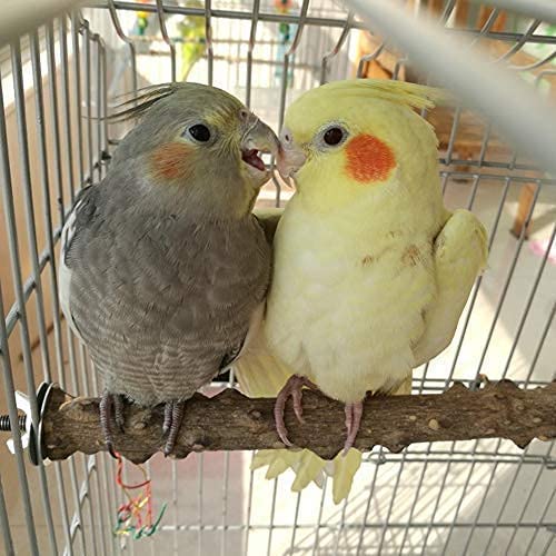Litewoo Wood Perch Stick Natural Bird Stand Parrot Perch Paw Beak Grinding Stick for Bird Parrot Parakeet Cockatiel Conure Lovebird Budgie (11.79inch/30cm) 11.79inch/30cm