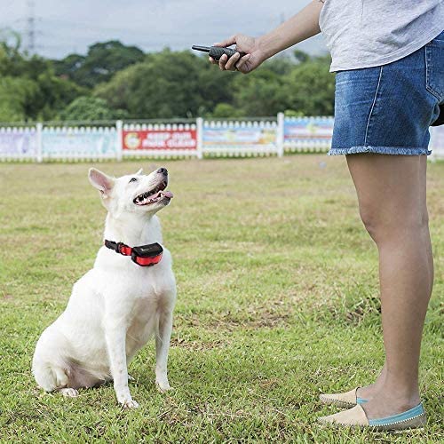 Pet Union PT0Z1 Premium Training Shock Collar for Dogs with Remote - Fully Waterproof, 4 Adjustable Training Modes - Shock, Vibration, Beep - Up to 1200ft Range Red - PawsPlanet Australia