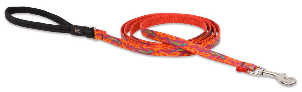 LupinePet Originals 1/2" Go Go Gecko 6-foot Padded Handle Leash for Small Pets 6-Feet