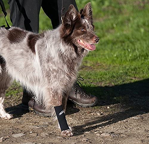 Walkabout Compression Sleeve for Dogs, Canine Brace to Promote Circulation, Treat Arthritis and Injury with 360° Pain Relief med/large 4-5" black