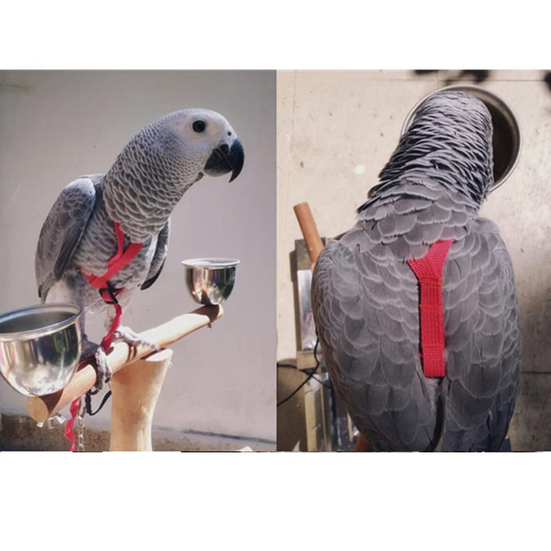 Adjustable Birds Harness and Leash Parrot Harness Leash Training Supplies Pet Anti-bite Outdoor Flying Rope for Conures Budgerigar Lovebird Cockatiel Mynah (S, Red) Small - PawsPlanet Australia