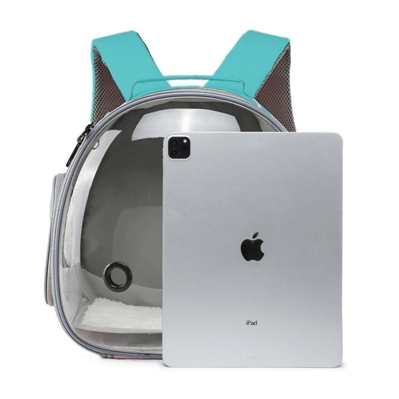 Small Animal Carrier Guinea Pig Backpack,Transparent, Breathable Backpack Carrier for Hedgehogs, Rabbits, Birds, Squirrels, Hamsters, Lizards Comfortable, Portable Travel Bag for Small Pets (Green) Green