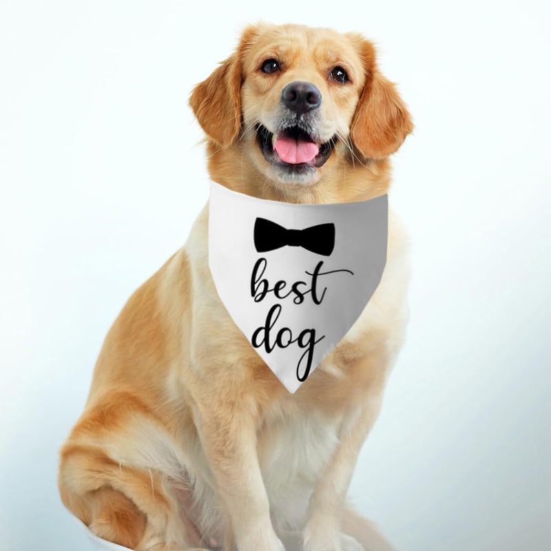 2 Pack Dog Bandana for Wedding Engagement and Birthday,Triangle Pet Scarf for Dog Lovers,Suitable for Small Medium Large Boy Girl Dog. - PawsPlanet Australia