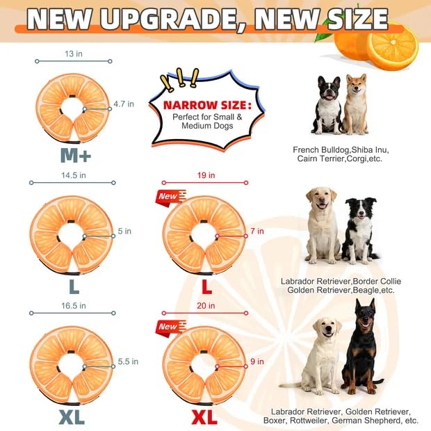KOOLTAIL Inflatable Dog Cone Collar, Soft Donut E Collar for Dogs After Surgery to Stop Licking Enhanced Alternative, Blow Up Pet Neck Pillow Recovery Adjustable Cone for Dog Cat,Upgrade Size,Orange M orange Medium(13-15in)