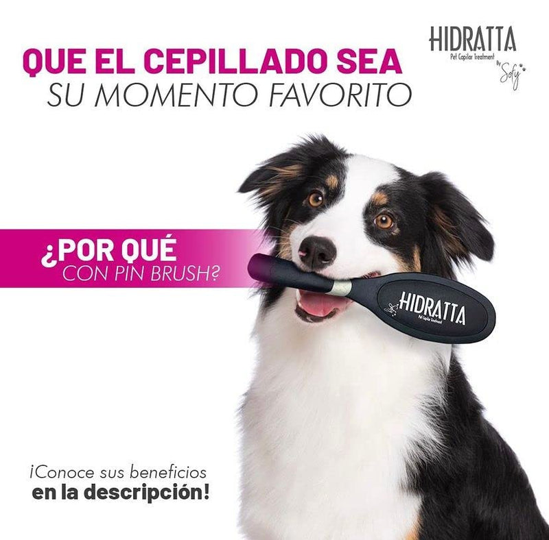 Hairbrush for pets - cepillo mantequilla - PawsPlanet Australia