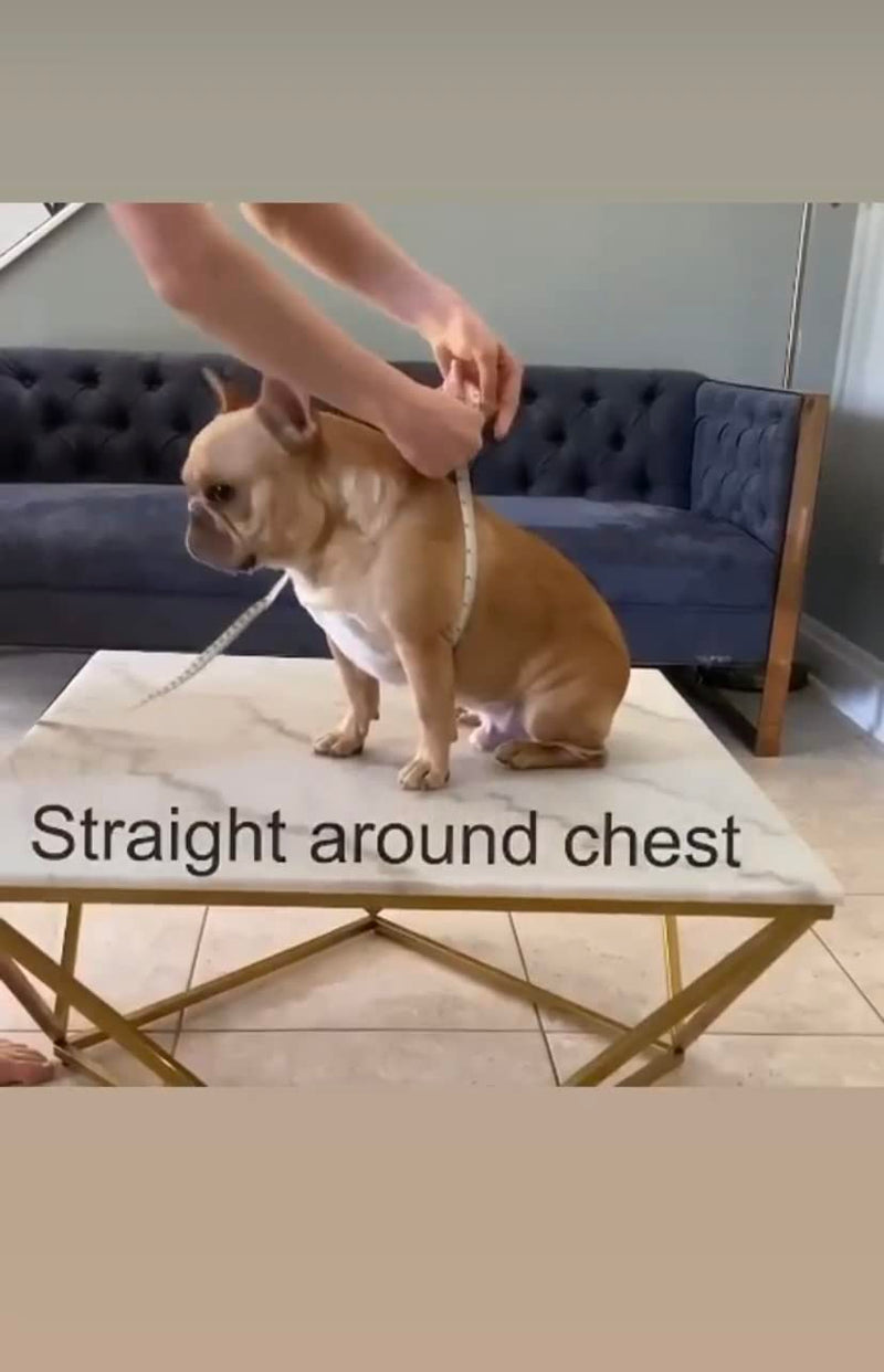 Harness – Made for Larger Chested Dogs Like English Bulldogs, French Bulldogs, Pugs & More. Stops Dogs from Pulling & Choking on Walks (TIE DYE, XL) TIE DYE XL ( Chest 33" - 36" ) - PawsPlanet Australia