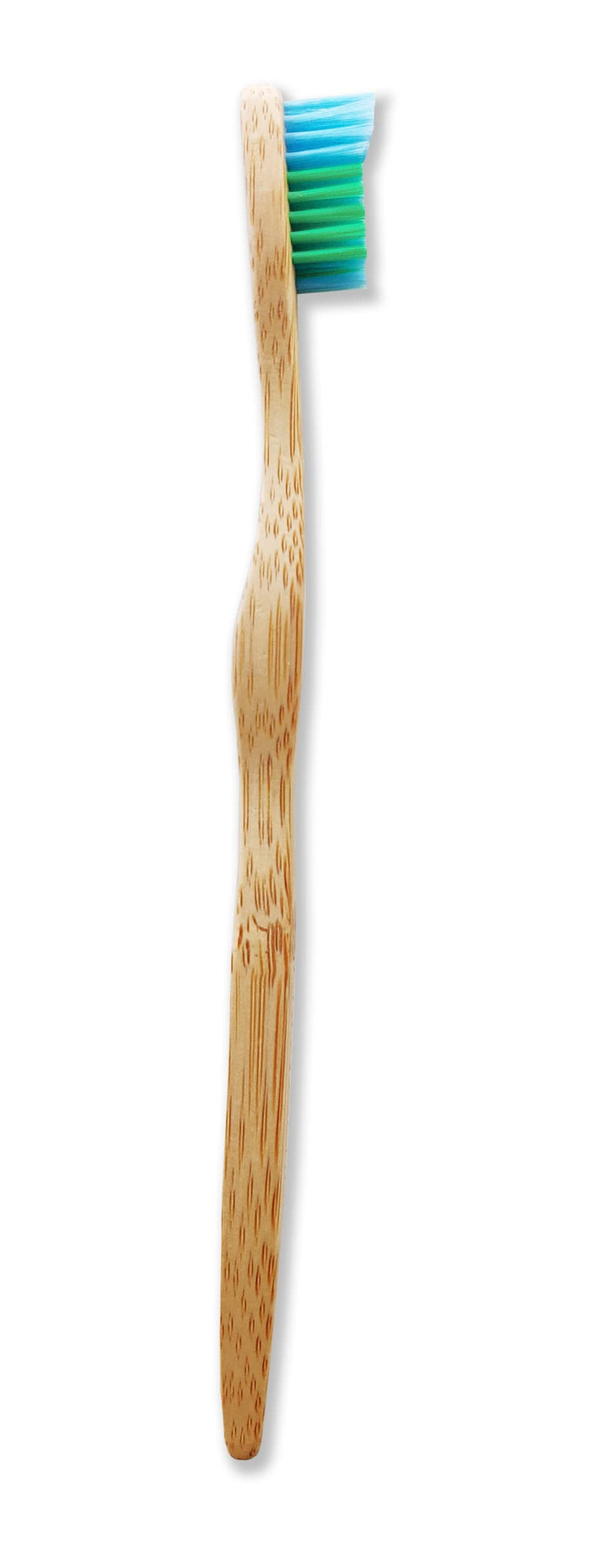 Woobamboo! Eco-Friendly Large Breed Dog Bamboo Toothbrush, Biodegradable, Plastic Negative (Pack of 2) - PawsPlanet Australia