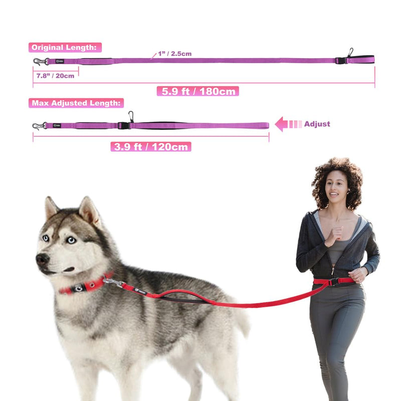 TSPRO Hands Free Dog Leash for Medium to Large Dogs, Adjustable Durable Leash with Comfortable Safety Padded Handle, Heavy Duty Metal Clasp for Walking, Running, Training (Leopard Print) Leopard Print - PawsPlanet Australia