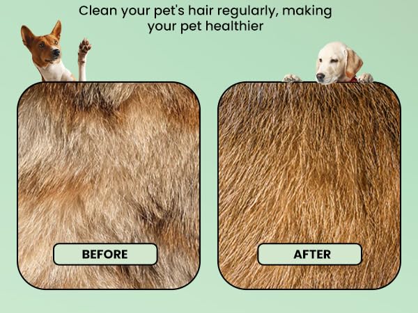 Ved Flea Brush for Dogs - Fine Tooth Pet Hair Removal Comb - Self-Cleaning Flea Brush for Cat - Cat Flea Combs for Indoor Cats - Grooming Brush for Long Haired Dogs - Flea Comb That Kills Fleas - PawsPlanet Australia