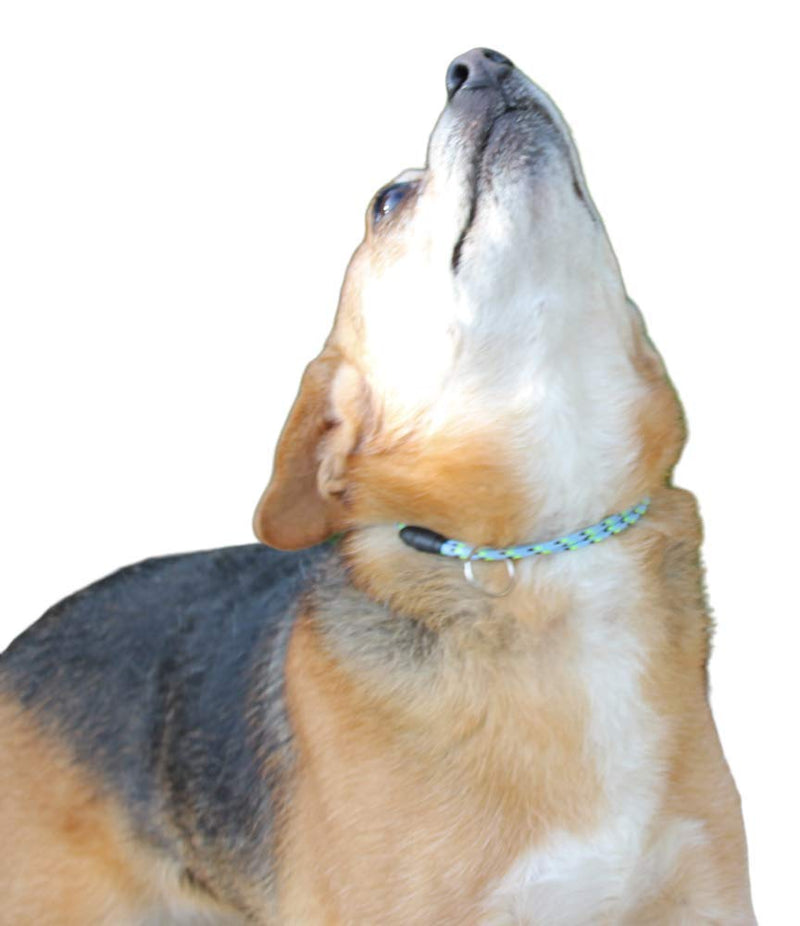 National Leash Mountain Rope Dog ID Collar- Blue Eyes - Small (10"-16") Ultra Lite