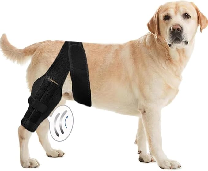 Dog ACL Knee Brace Dog ACL Dog Braces for Back Leg. Dog Front Leg Brace. Dog Assistance for Back Legs. Knee Brace for Dog Knee Brace for Luxating Patella. Dog Shoulder Brace. Dog Leg Brace Front L - PawsPlanet Australia