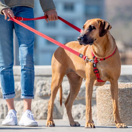 Rogz HLM06-C Utility Leash/Fanbelt, L, Red - PawsPlanet Australia