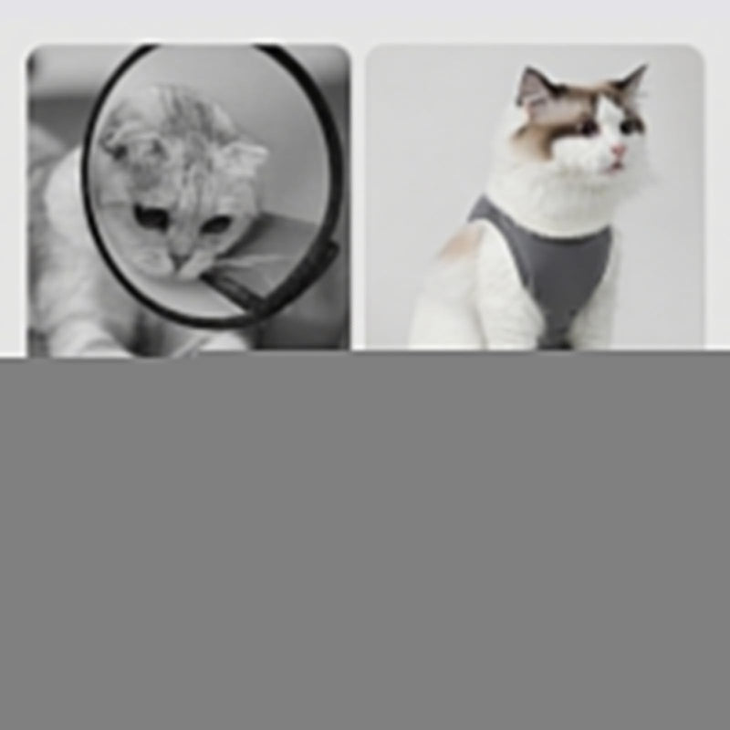 2 PCS Cat Recovery Suit, Breathable Anti-Lick Cat Spay Bodysuit, Cone Alternative Post-Surgery Shirt for Abdominal Wounds, Soft Cotton Cat Surgery Clothes for Kittens & Adult Cats (2-4 kg Cats)