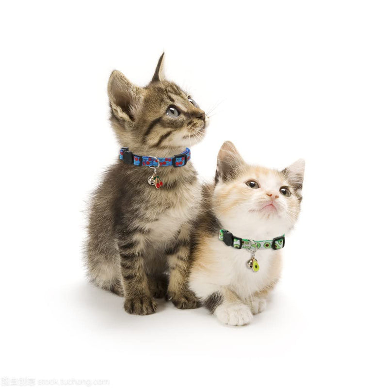 Breakaway Cat Collar with Bell, 4 Pack Safety Adjustable Cat Collars Set… fruit - PawsPlanet Australia