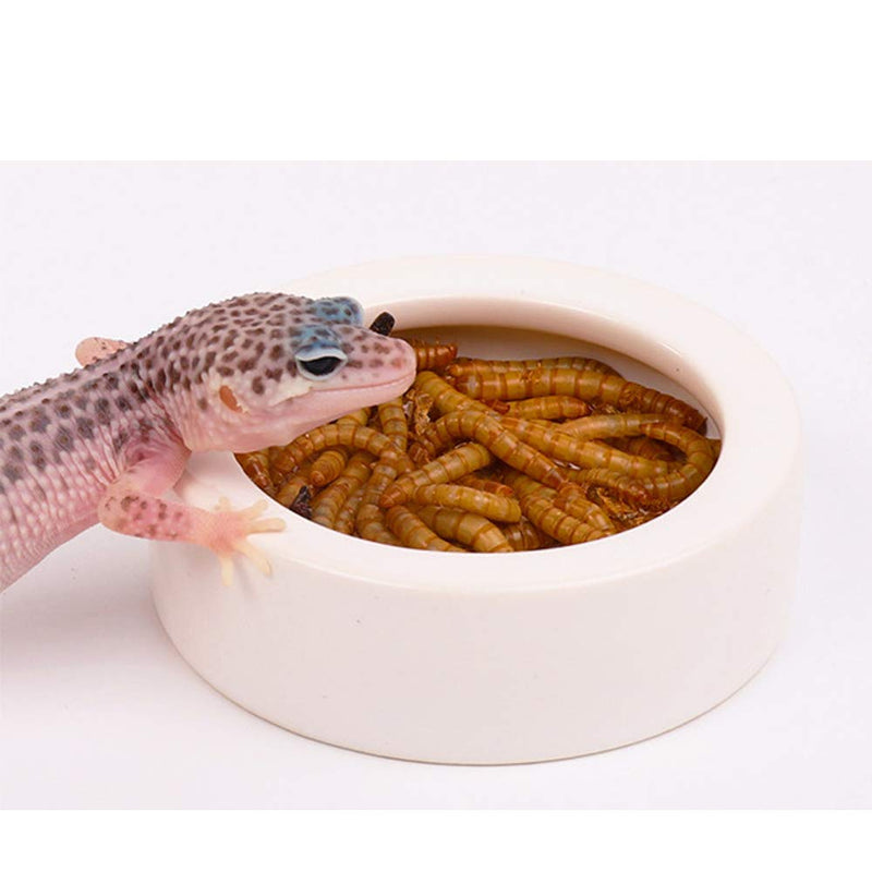 Reptile Food Water Bowl, 2 pcs Ceramics Worm Dish ,Anti-Escape Reptile Water Feeder ,Mealworm Bowl for Lizard Gecko Bearded Dragon, (S,M,L) (Large) Large - PawsPlanet Australia