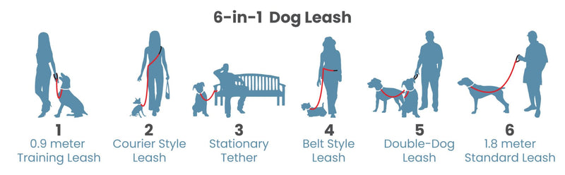 Kurgo 6 in 1 Quantum Leash, Hands Free Leash for Dogs, Running Belt Lead, Crossbody & Waist Belt Style, Reflective, Carabiner Clip, for Training, Hiking, or Jogging, 4 colors Blue - PawsPlanet Australia