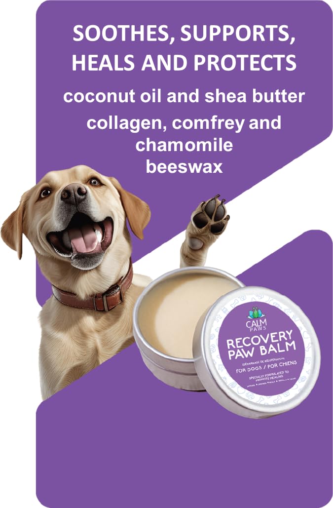 Recovery Healing & Calming Paw Balm - PawsPlanet Australia