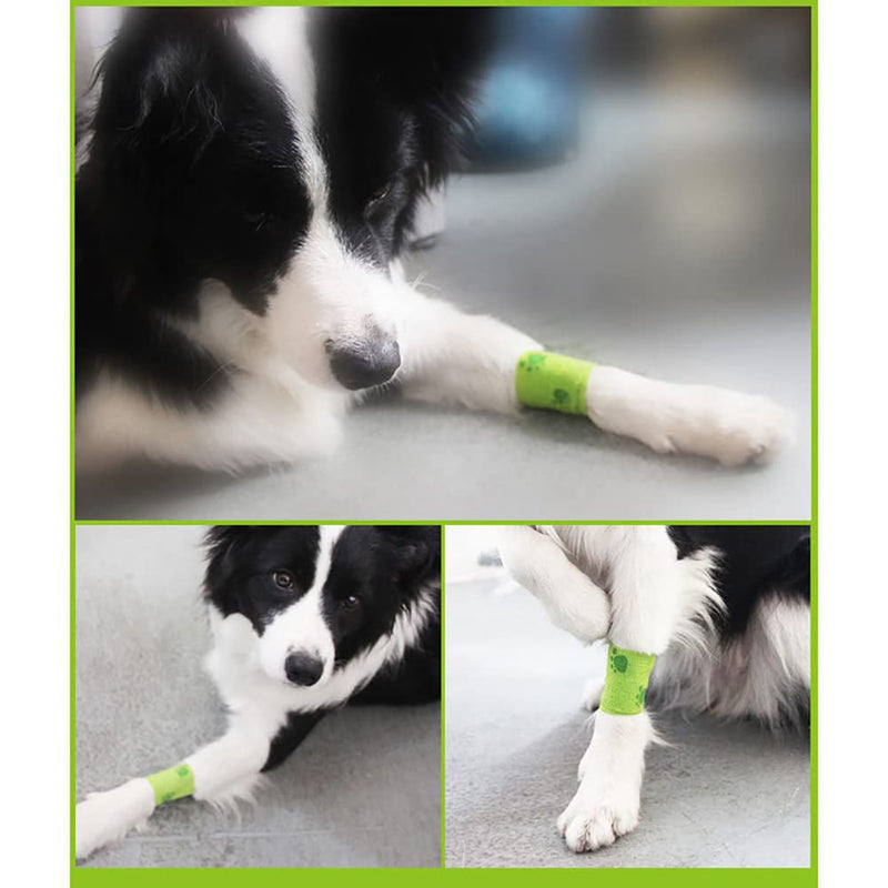 GSHLLO 4 Rolls Pet Vet Wrap Self Adhesive Bandage Cohesive Fixing Bandages Dog Paw Pattern Bandage Tattoo Grip Tape for Wrist Ankle