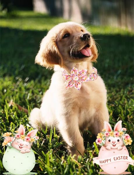 Unique style paws Easter Dog Collar Puppy Collars Harnesses & Leads For Dogs Uk Bow Tie Soft Adjustable Cute Flower Comfortable Collars Pet Gift For Small Medium Large Dogs XL PINK XL - PawsPlanet Australia