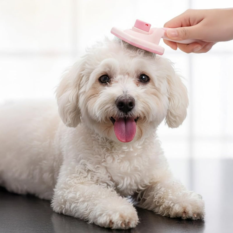 Haminway 8-Piece Dog Grooming Kit – Pink | Pet Brush Set for Shedding, Dematting, Nail Clipping & Bathing | Ideal for Small & Medium Dogs - PawsPlanet Australia