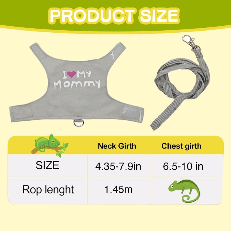Bearded Dragon Leash and Harness Adjustable - Luminous Leash for Small Pets (Grey) Grey - PawsPlanet Australia