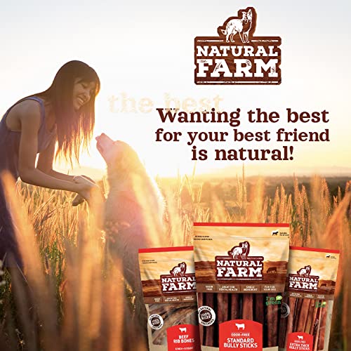 Natural Farm Nail-Free Chicken Feet Dog Treats (20 Pack), 100% Free-Range Air Dried Chicken Feet, No Nails, Fully Digestible, High Protein, Low Calorie, Joint Support, Single Ingredient Chicken Feet (20 pack) - PawsPlanet Australia
