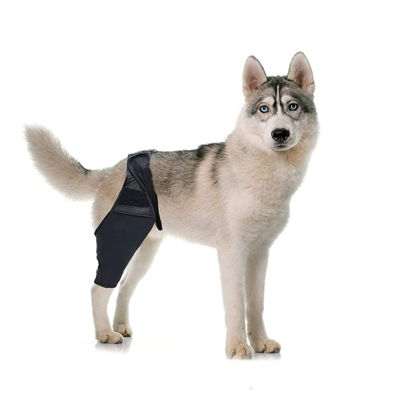 Balacoo Step in Dog Harness Dog acl hind Leg paw Balm Dogs Lick Safe Dog Care Dog Joint Dog Knee Dress Form Stand Comfortable Dog Knee Protector pet Auxiliary Belt As Shown L - PawsPlanet Australia