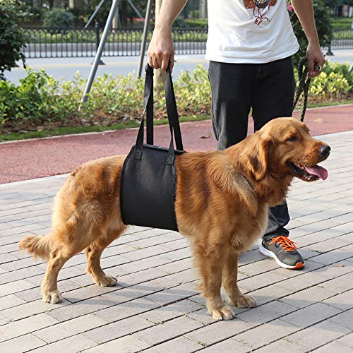 Portable Dog Lift Support Harness - Helps Dog With Weak Front Or Rear Legs Stand Up, Walk, Get Into Cars, Climb Stairs For Disable, Injured, Elderly Pet (Size: S)