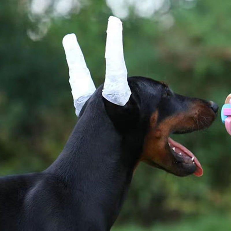 ERINGOGO 8-Piece Dog Ear Support Set with Soft Foam Sticks and Adhesive Tape. Flexible ear correction sticks for erect ears in small and medium-sized dogs. Easy to clean.
