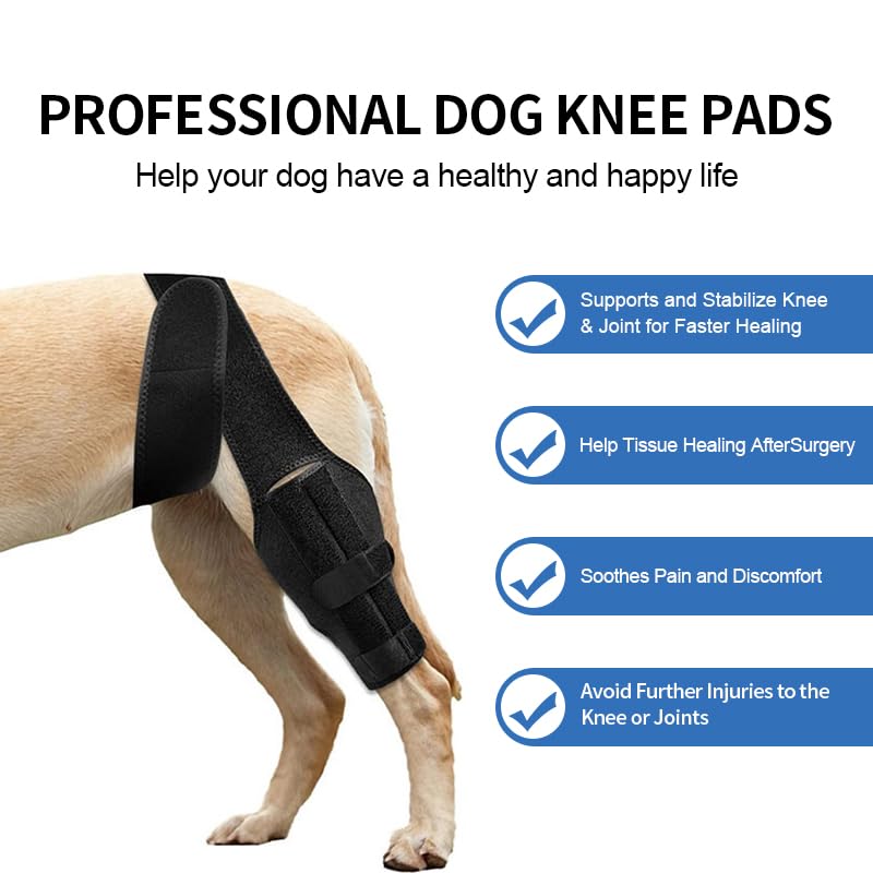 Adjustable Dog Knee Braces for Back Leg Stabilizer Support for ACL Patella Injury Arthritis Post Surgery Recovery(Black M) Medium