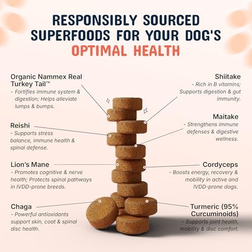 Pets are Kids Turkey Tail Mushroom for Dogs with Organic Real Turkey Tail™ - 8:1 Extract Mushroom Chews for Lumps & Bumps, Immunity, Gut, Skin, Joint & Spine Support - Reishi, Lion’s Mane - 120 Chews - PawsPlanet Australia