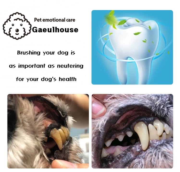 Tiny Small and Medium Dog Toothbrush Made in Korea Toothbrush Bristles That are Soft and Do Not Irritate Your Dog’s Gums Small Toothbrush Grip and Excellent Tartar Removal (4pcs) - PawsPlanet Australia