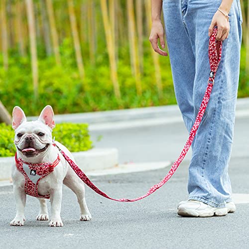 WINHYEPET Truelove Floral Pet Leash Neoprene Padded Handle Extra Traffic Control Dog Strong Enough and Easy Control Suitable Small Medium Large Breeds TLL3112(Poppy Red,M) M Poppy Red - PawsPlanet Australia