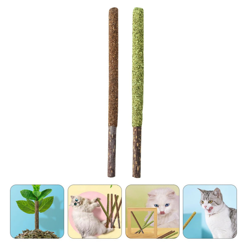 STOBAZA Edible Cat Licks for Dental Care and Improved Tongue Movement, 12 Pieces with Catnip and Bile Fruit for Indoor Cats at Home