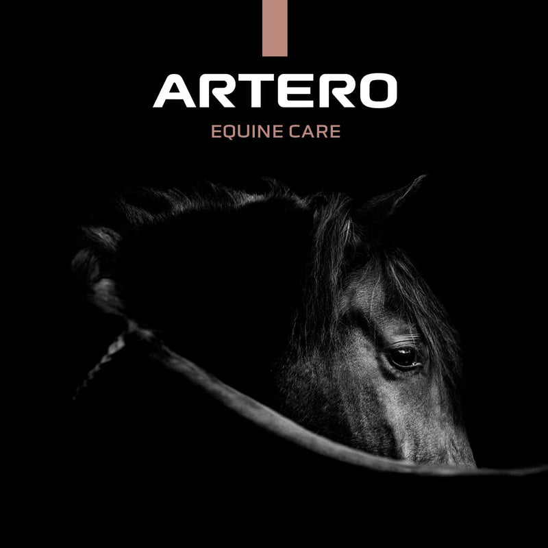 ARTERO Horse Brush. Horse Mane and Tail Brush. Mane and Tail Brush Made of Elegant and Resistant Bamboo. Horse Grooming Supplies