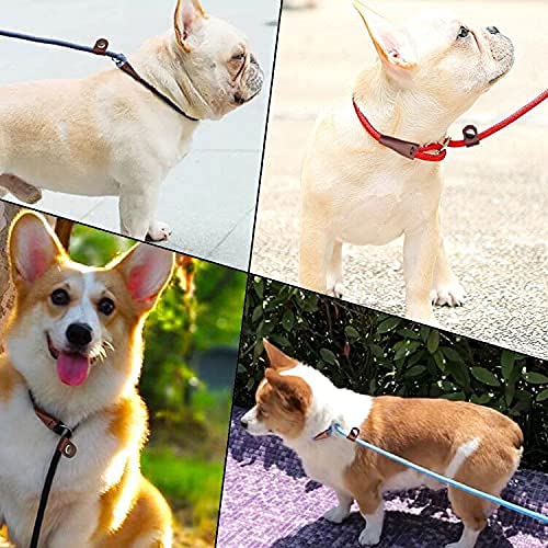 MayPaw Slip Lead Control Leash for Dogs No Pull, 13+ Colors Classic Dog Lead 7 FT Pet Slip Leash, 1/4” Rope Leashes for Small Medium Animals (7ft*1/4", Green) 7ft*1/4" - PawsPlanet Australia