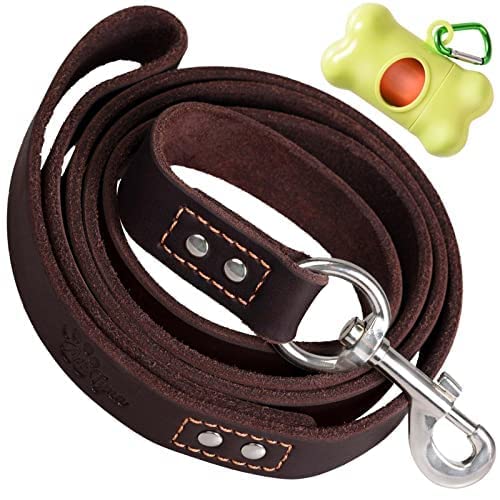 ADITYNA Leather Dog Leash 6 ft x 3/4 inch - Soft, Strong, Heavy Duty for Large & Medium Breeds - Dog Lead for Walking, Training, Hiking and Running (Brown) L - 6 ft x 3/4 inch Brown - PawsPlanet Australia