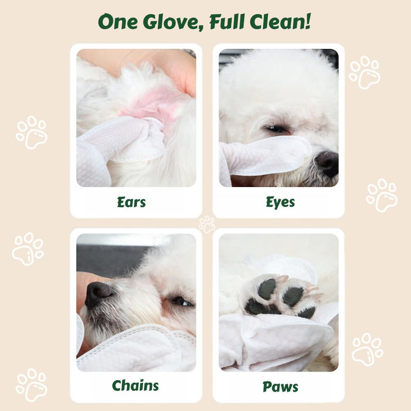 10-Pack Pet Cleaning Glove Wipes with Lid | Extra Thick Dog & Cat Grooming Gloves | Rinse-Free Bath Wipes with Coconut, Aloe, Corn & Jojoba for Odor Control & Daily Care 10 count - PawsPlanet Australia