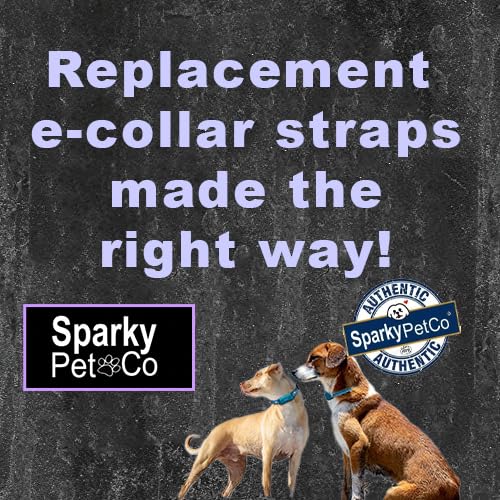 Replacement GPS eCollar with Adjustable Bungee, Multi-Hole Design, and Secure Toggle Closure for Small Dogs (Black, Small Neck) Small Dog 3/4" Black - PawsPlanet Australia