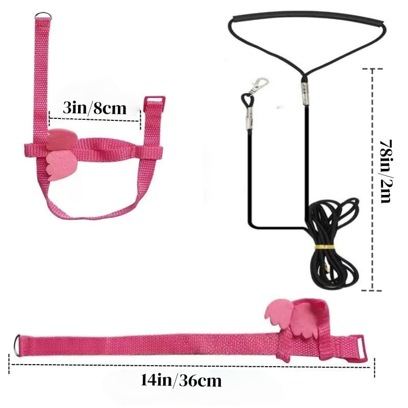 3 Sets Pet Parrot Bird Harness and Leash with Cute Wing, Adjustable Bird Flying Harness Straps Outdoor Training Traction Rope for Parrots Pigeons Lovebird Cockatiel(L,Pink, Yellow&Purple) Pink, Yellow&Purple L - PawsPlanet Australia