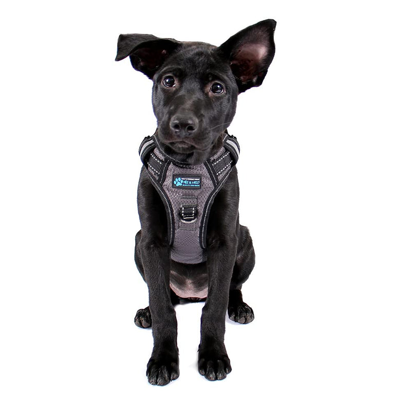 Max and Neo Gunnison Reflective Dog Harness - We Donate a Harness to a Dog Rescue for Every Harness Sold (Small, Gray) Small - PawsPlanet Australia
