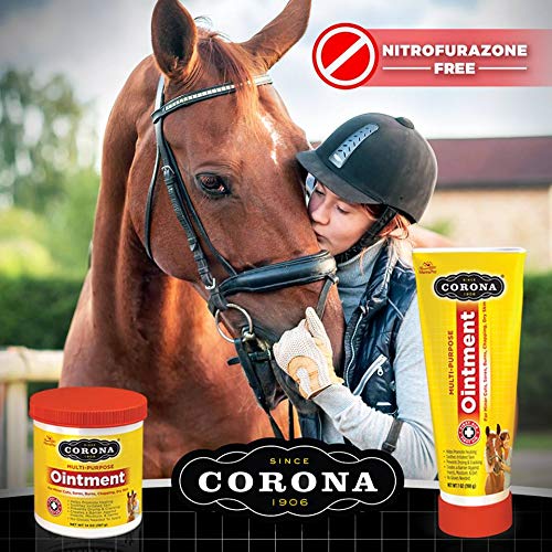 Manna Pro Corona Ointment for Horses | Lanolin-Based Formula Helps Sooth Irritation | 14 Ounces 14 Ounce